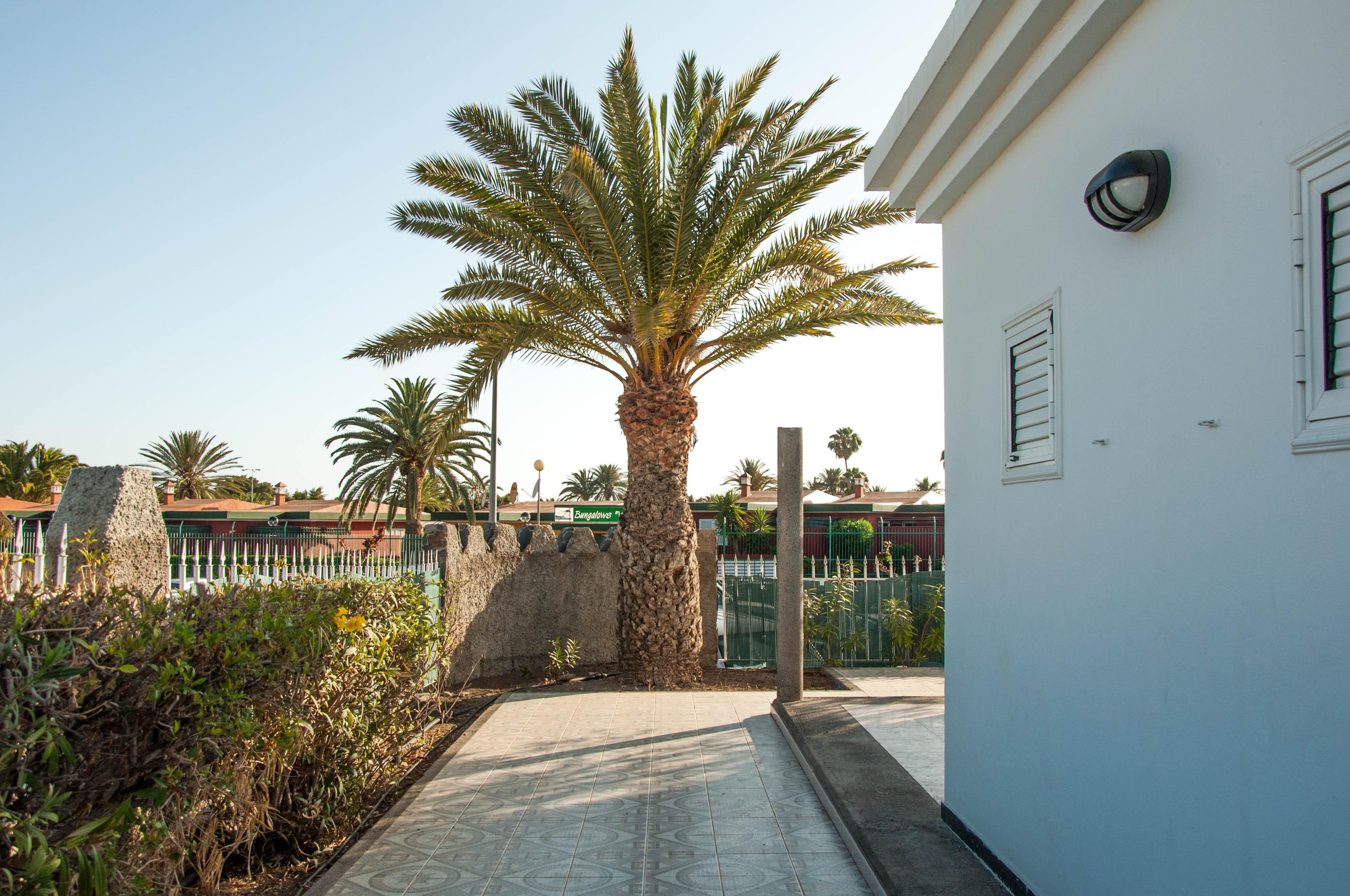Bungalows Las Almenas Maspalomas  Eksteriør bilde