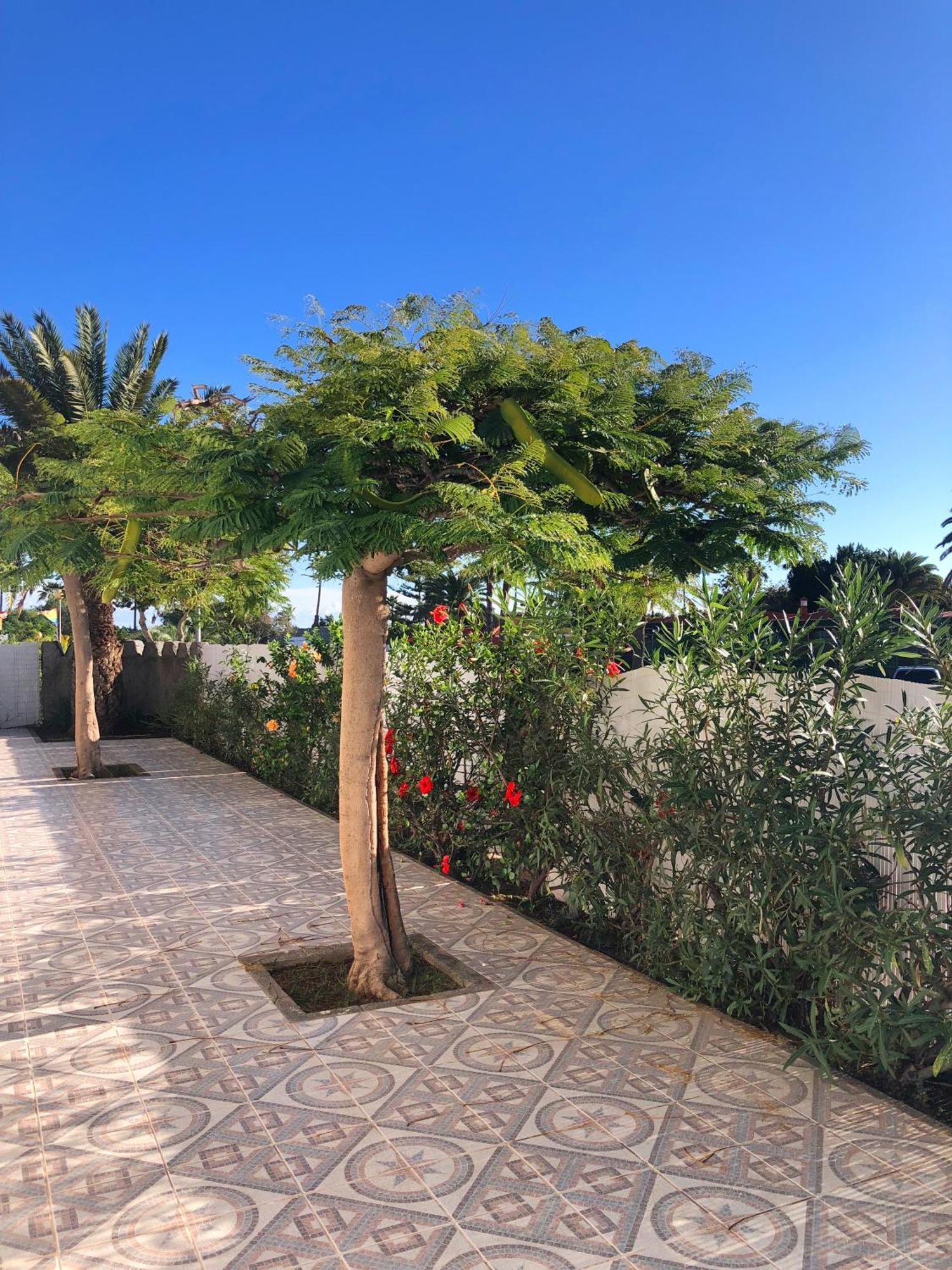 Bungalows Las Almenas Maspalomas  Eksteriør bilde