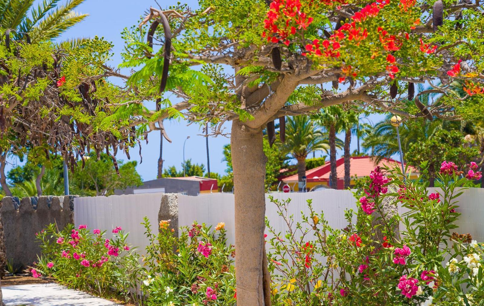 Bungalows Las Almenas Maspalomas  Eksteriør bilde