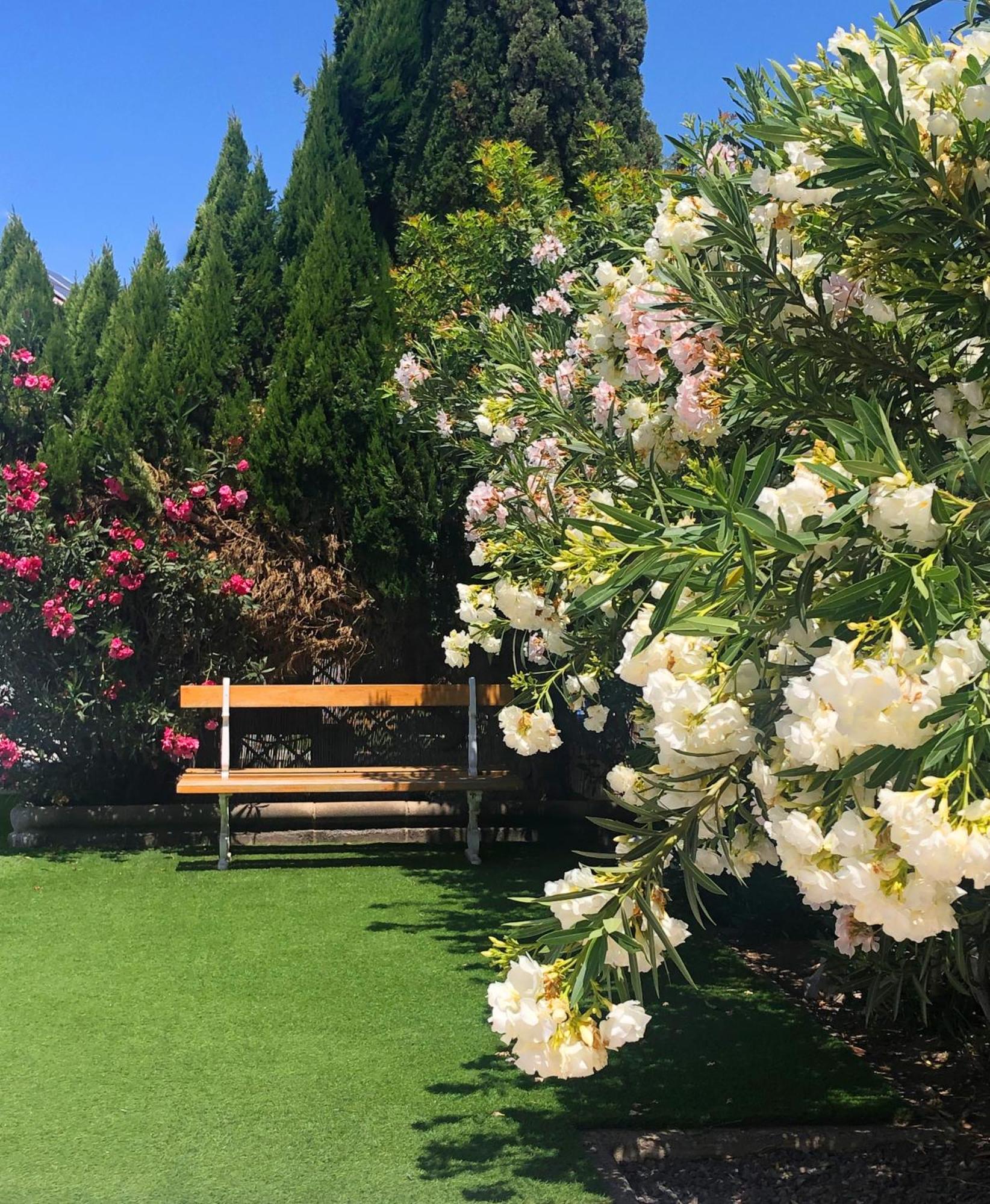 Bungalows Las Almenas Maspalomas  Eksteriør bilde
